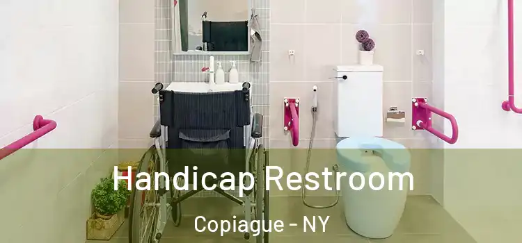 Handicap Restroom Copiague - NY