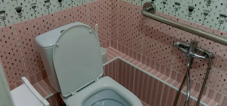 Meeting Diverse Needs With Accessible Restroom Solutions in Copiague, NY