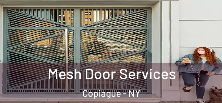 Mesh Door Services Copiague - NY