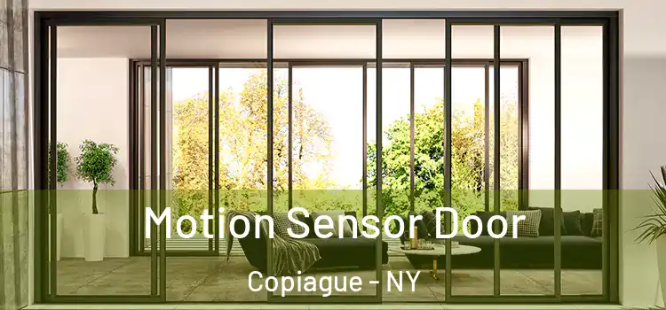 Motion Sensor Door Copiague - NY